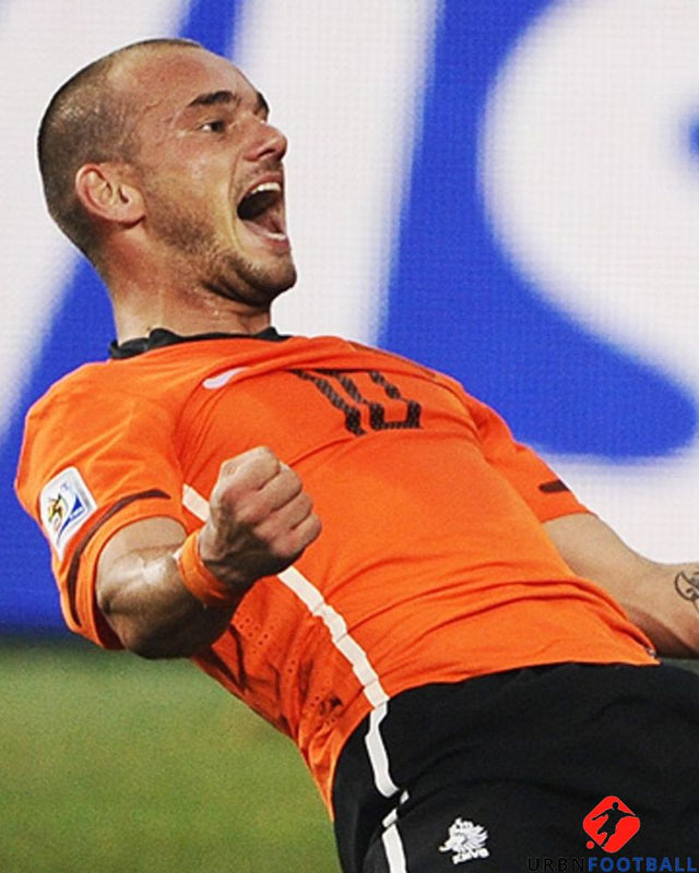 SNEIJDER WESLEY 2010-11 (Niederlande)