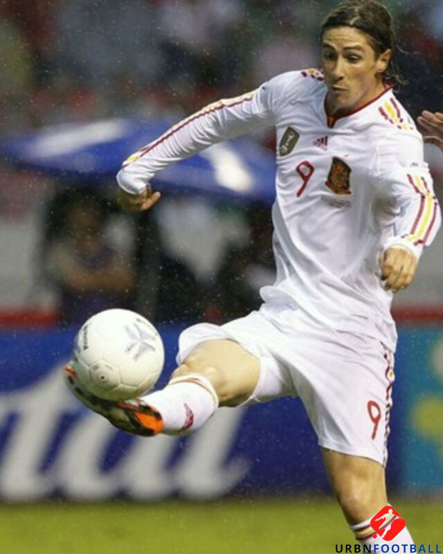 TORRES FERNANDO 2010-11 (Spa)